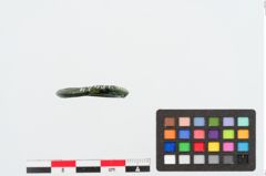 Foto von Bronzering (NHMW-PRAE-024831)